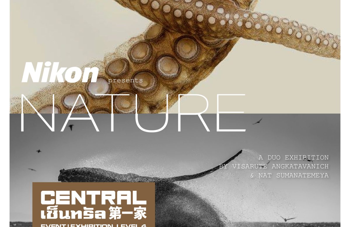 NATURE A DUO EXHIBITION BY VISARUTE ANGKATAVANICH & NAT SUMANATEMEYA